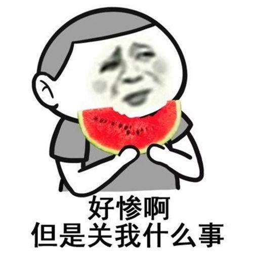 娱乐有态度吃瓜有深度,揭秘娱乐圈背后的故事  第3张