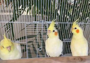 郑州公司吃瓜娱乐公司,揭秘幕后故事与行业风云  第3张